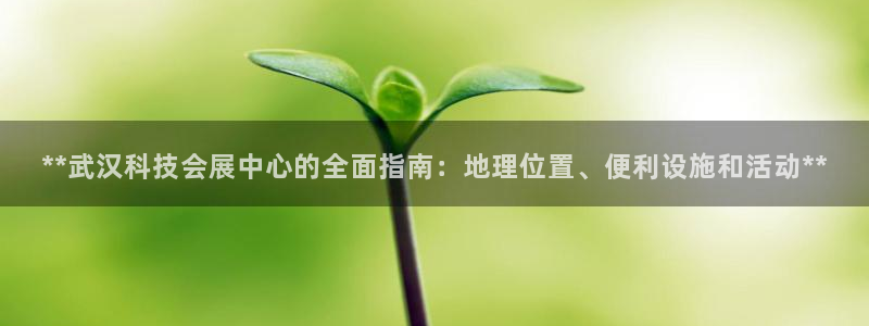 果博注册：**武汉科技会展中心的全面指南：地理位置、便利设施和活动**