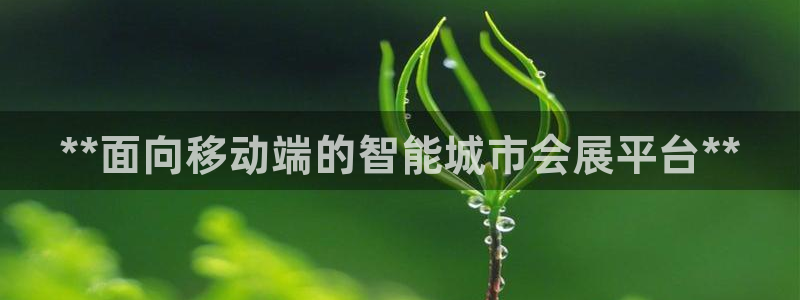 果博注册客服电话号码：**面向移动端的智能城市会展平台**