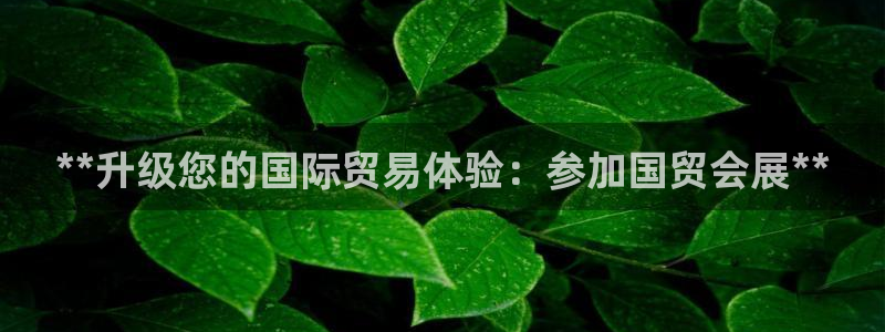 果博公司客服电话多少：**升级您的国际贸易体验：参加国贸会展**