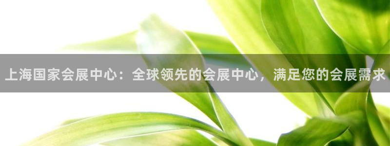 果博公司会员注册账号：上海国家会展中心：全球领先的会展中心，满足您的会展需求