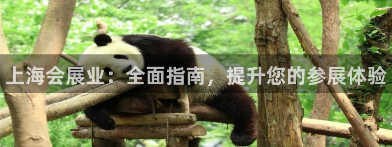 果博平台真实吗安全吗可信吗可靠吗：上海会展业：全面指南，提升您的参展体验