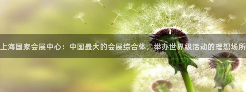 果博公司会员账号开户：上海国家会展中心：中国最大的会展综合体，举办世界级活动的理想场所