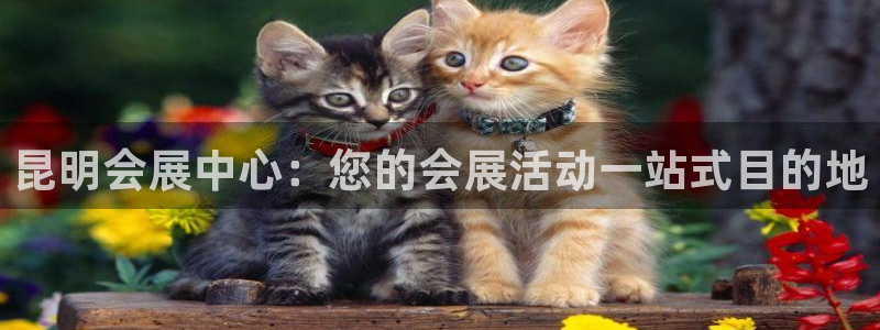 果博客服微信是多少