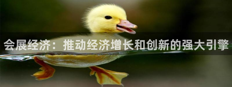 果博公司直属会员开户：会展经济：推动经济增长和创新的强大引擎