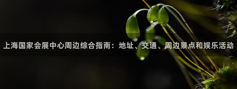 果博公司开户注册：上海国家会展中心周边综合指南：地址、交通、周边景点和娱乐活动