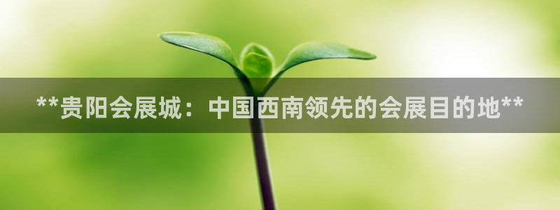 果博代理：**贵阳会展城：中国西南领先的会展目的地**