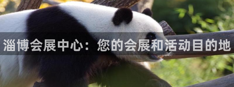 果博平台真实吗安全吗是真的吗：淄博会展中心：您的会展和活动目的地