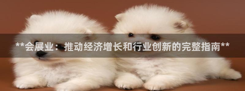 果博注册充值：**会展业：推动经济增长和行业创新的完整指南**