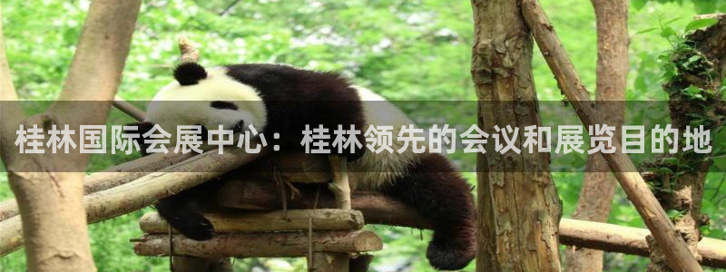 果博代理：桂林国际会展中心：桂林领先的会议和展览目的地