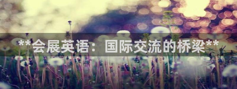 果博怎么注册账号：**会展英语：国际交流的桥梁**