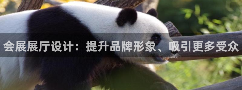 果博公司客服电话多少：会展展厅设计：提升品牌形象、吸引更多受众
