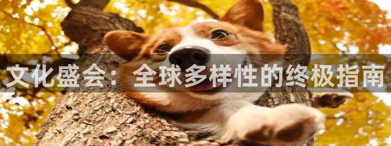 果博客服电话：文化盛会：全球多样性的终极指南