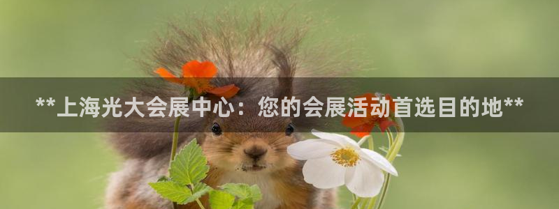 果博app官网下载：**上海光大会展中心：您的会展活动首选目的地**