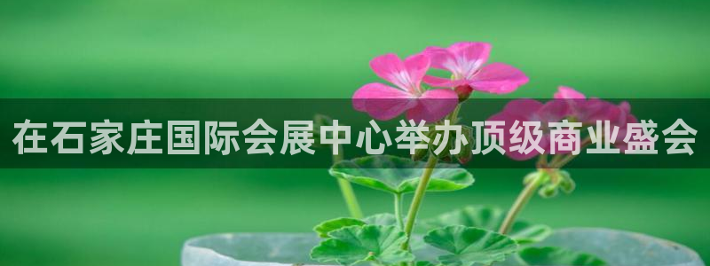 果博怎么注册账号和密码：在石家庄国际会展中心举办顶级商业盛会