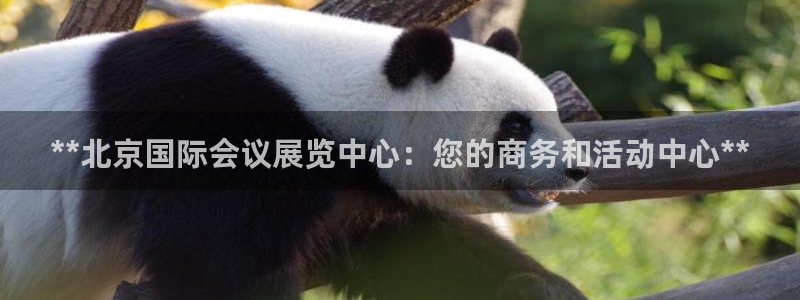 果博公司会员注册账号开户：**北京国际会