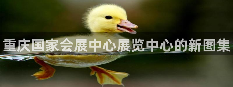 果博注册充值怎么退款：重庆国家会展中心展览中心的新图集
