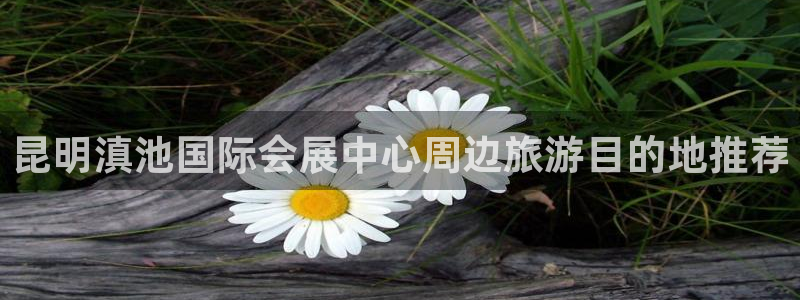 果博网站二维码：昆明滇池国际会展中心周边旅游目的地推荐