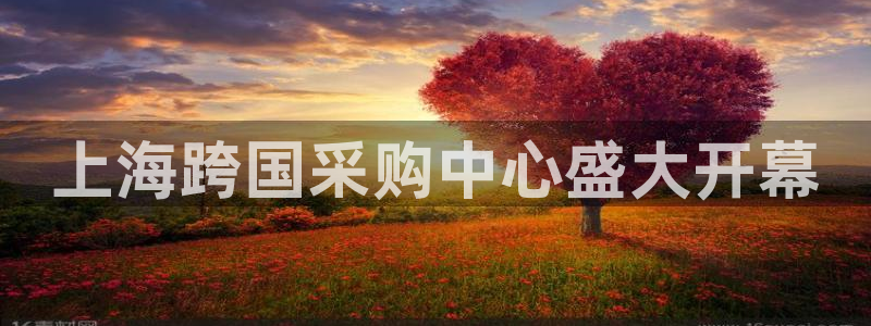 果博公司网站：上海跨国采购中心盛大开幕