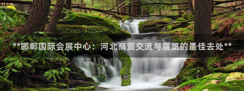果博手机下载：**邯郸国际会展中心：河北商贸交流与展览的最佳去处**