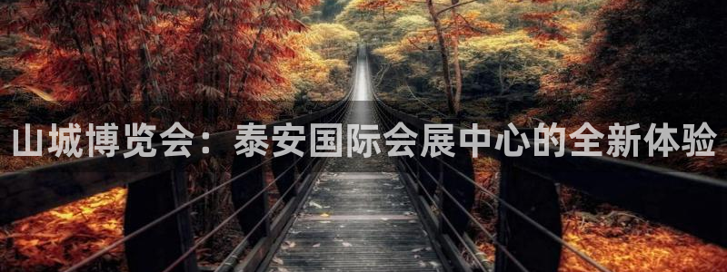 果博平台真实吗安全吗可信吗：山城博览会：泰安国际会展中心的全新体验