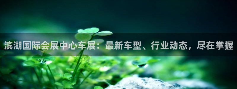 果博服务电话：滨湖国际会展中心车展：最新车型、行业动态，尽在掌握