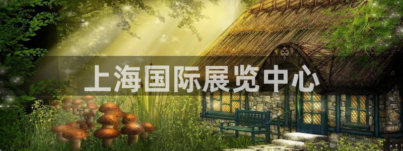 果博公司注册：上海国际展览中心