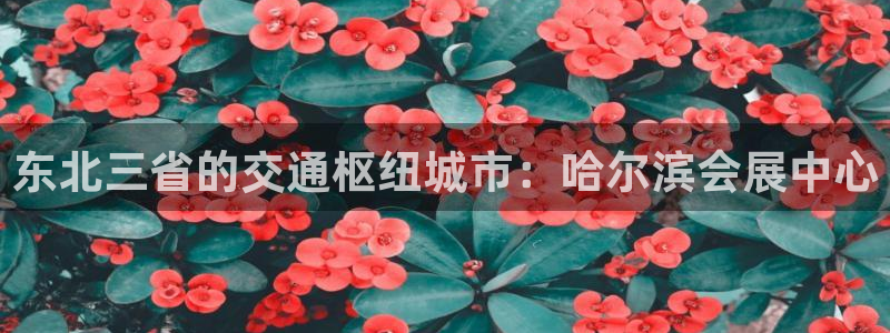 果博手机版官方下载：东北三省的交通枢纽城市：哈尔滨会展中心