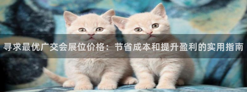 果博东官方网站怎么下载：寻求最优广交会展位价格：节省成本和提升盈利的实用指南