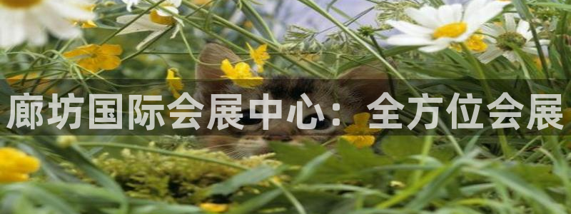 果博手机版下载：廊坊国际会展中心：全方位会展