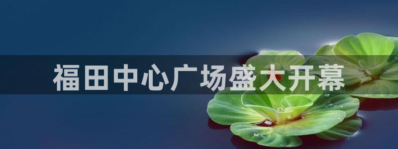 果博gbe168：福田中心广场盛大开幕