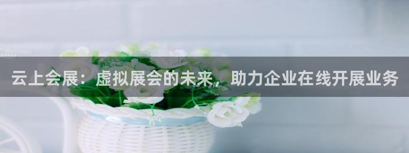 果博代理网：云上会展：虚拟展会的未来，助