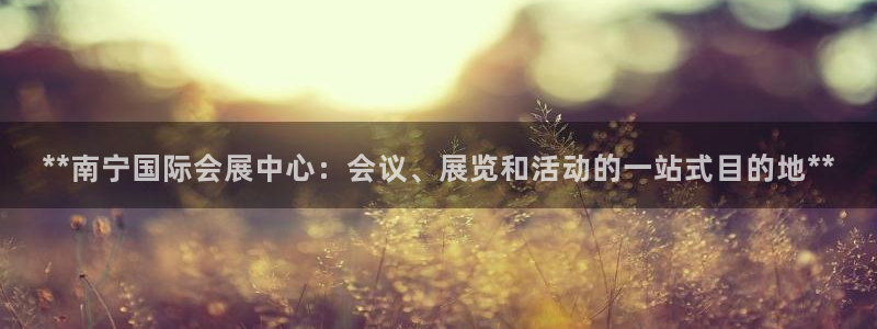 苹果电脑怎么下载伯索：**南宁国际会展中心：会议、展览和活动的一站式目的地**