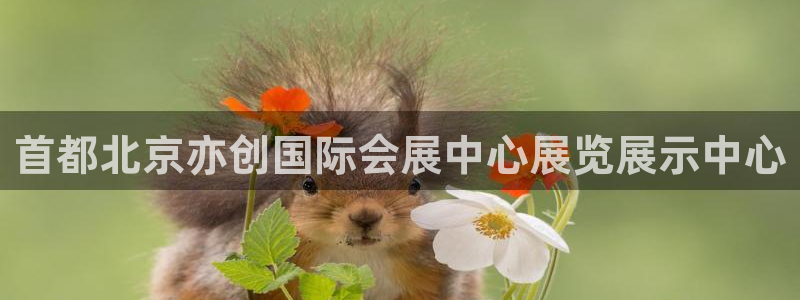 果博注册平台怎么注册：首都北京亦创国际会展中心展览展示中心