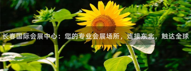 果博注册会员多少钱：长春国际会展中心：您的专业会展场所，连接东北，触达全球