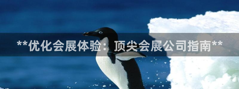 果博公司怎么开户：**优化会展体验：顶尖会展公司指南**