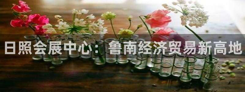 果博公司怎么注册会员：日照会展中心：鲁南经济贸易新高地