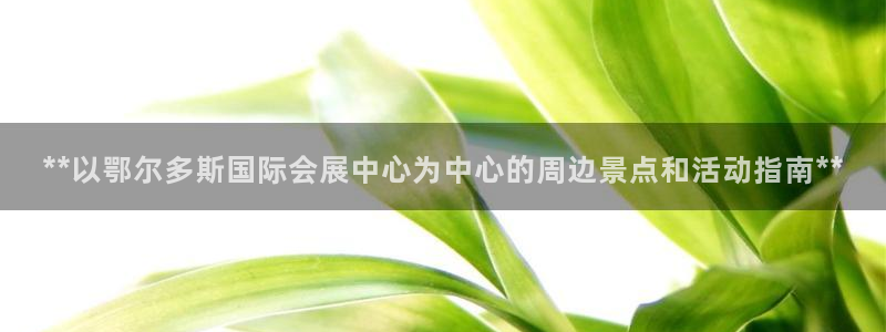 果博平台真实吗知乎怎么样：**以鄂尔多斯国际会展中心为中心的周边景点和活动指南**