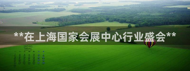 果博代理电话多少号码：**在上海国家会展中心行业盛会**