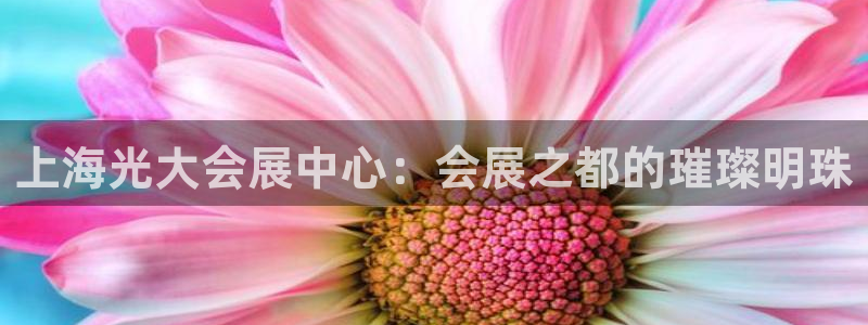 果博注册客服电话是多少号码：上海光大会展中心：会展之都的璀璨明珠