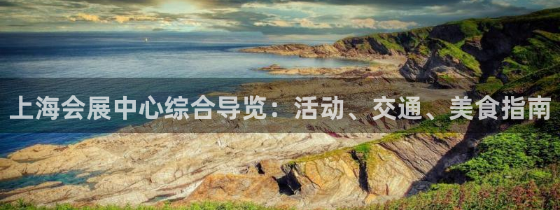 果博公司开户注册：上海会展中心综合导览：活动、交通、美食指南