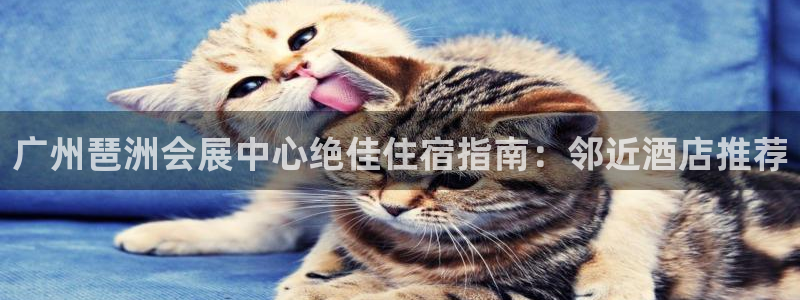 果博网站二维码