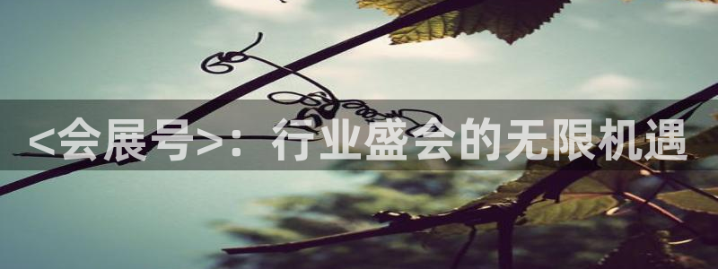 果博平台真实吗安全吗可信吗是真的吗：<会展号>：行业盛会的无限机遇
