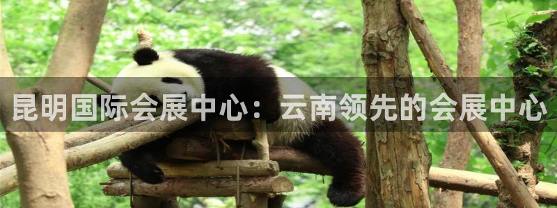 果博注册平台怎么注册账号：昆明国际会展中
