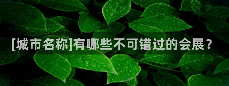 果博注册平台怎么注册：[城市名称]有哪些不可错过的会展？