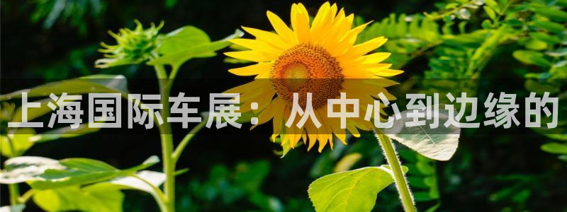 果博注册客服电话号码查询：上海国际车展：从中心到边缘的