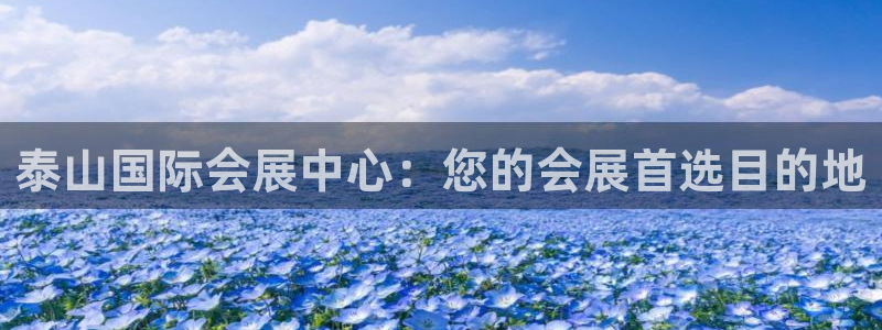 果博手机版官方下载：泰山国际会展中心：您的会展首选目的地