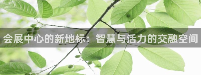 下载果博博东方下载：会展中心的新地标：智慧与活力的交融空间