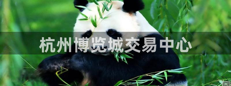 果博注册充值多少钱：杭州博览城交易中心