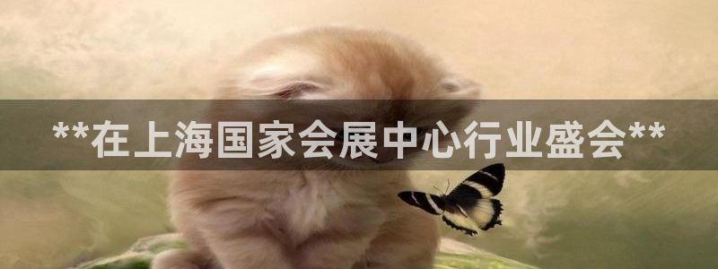 果博平台真实吗知乎推荐：**在上海国家会展中心行业盛会**