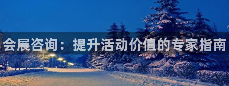 果博注册平台怎么注册不了：会展咨询：提升活动价值的专家指南